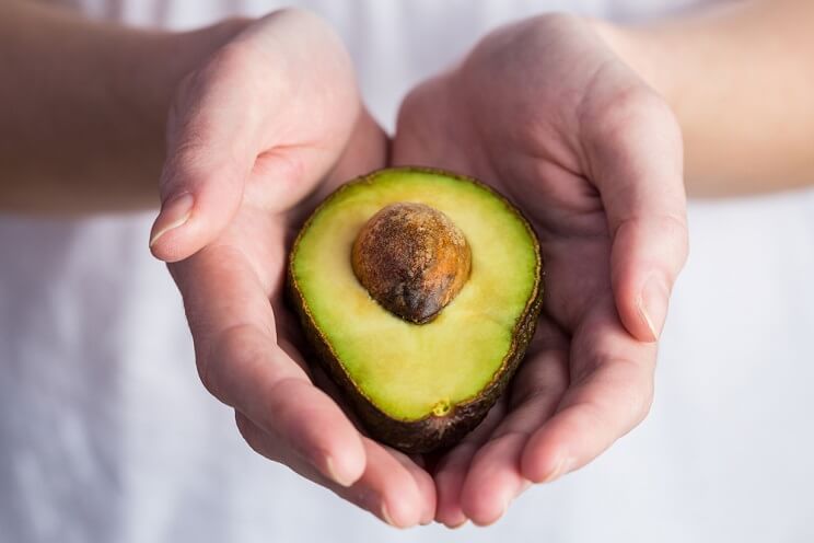 avocado in hands