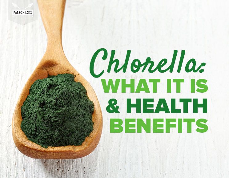 chlorella title card