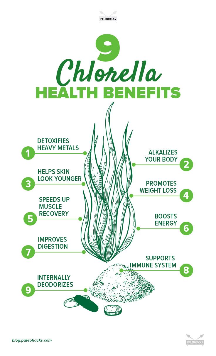 chlorella infographic