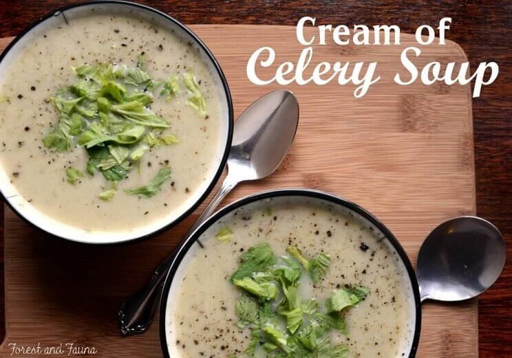 cream of celery soup