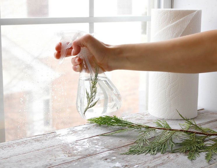 Natural DIY All-Purpose Pine Spray with Zero Toxins