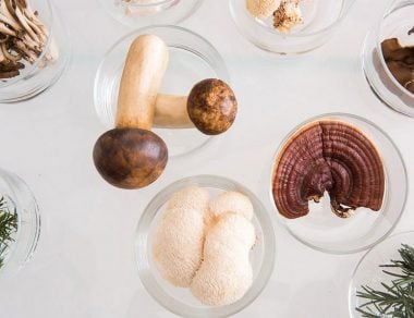 Discover the healing powers of mushrooms - one of the best superfoods for naturally relieving stress and anxiety.