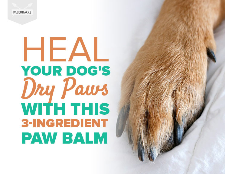 Rich shea butter, beeswax and coconut oil combine to form an ultra-healing paw balm to get the pep back in your doggie’s step.