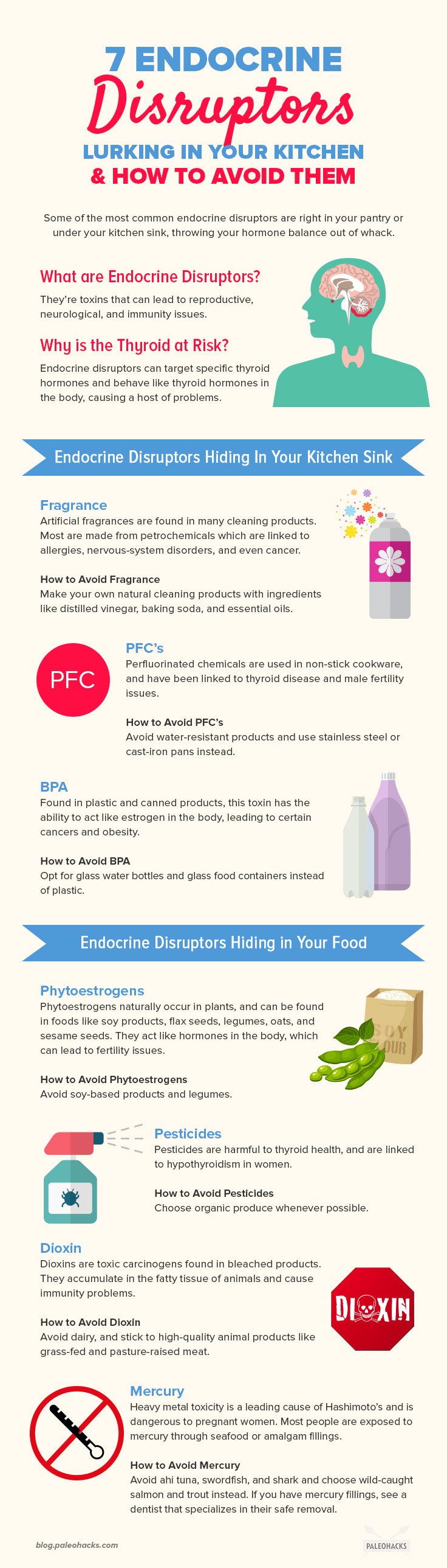 What if I told you that some of the most common endocrine disruptors are sitting right in your pantry or under your kitchen sink?