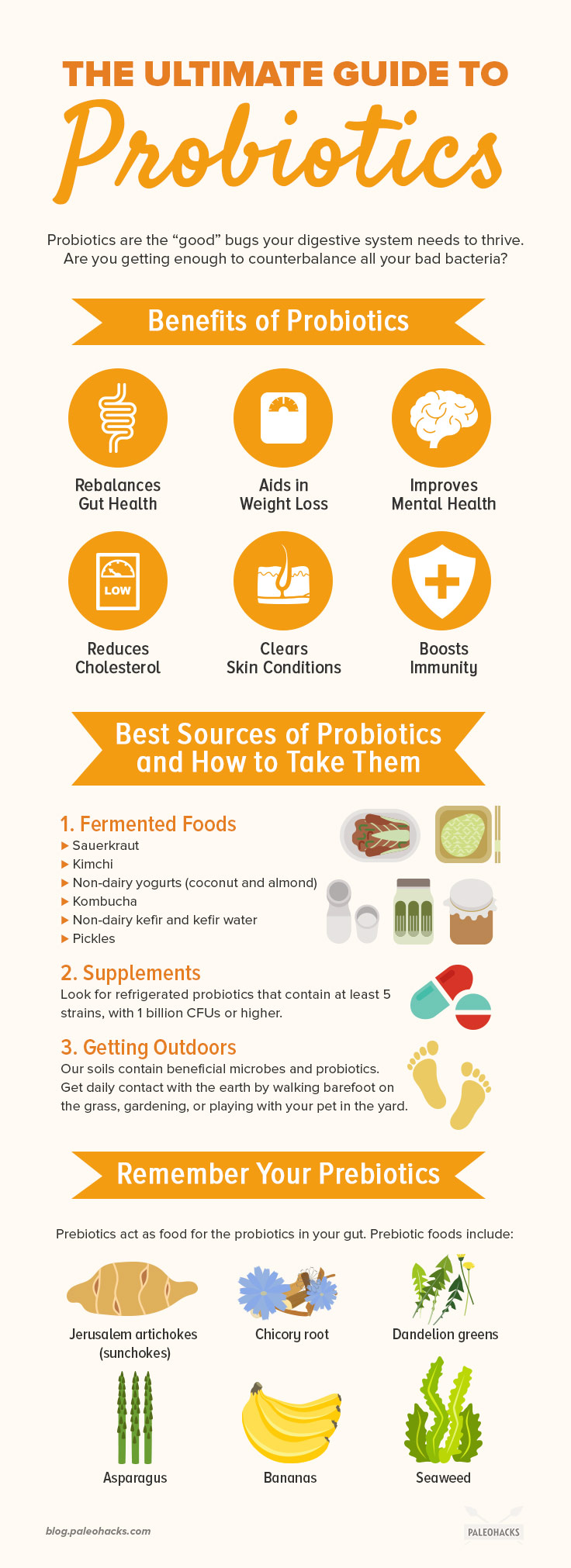 Probiotics are the “good” bugs your digestive system needs to thrive. Are you getting enough to counterbalance all your bad bacteria?