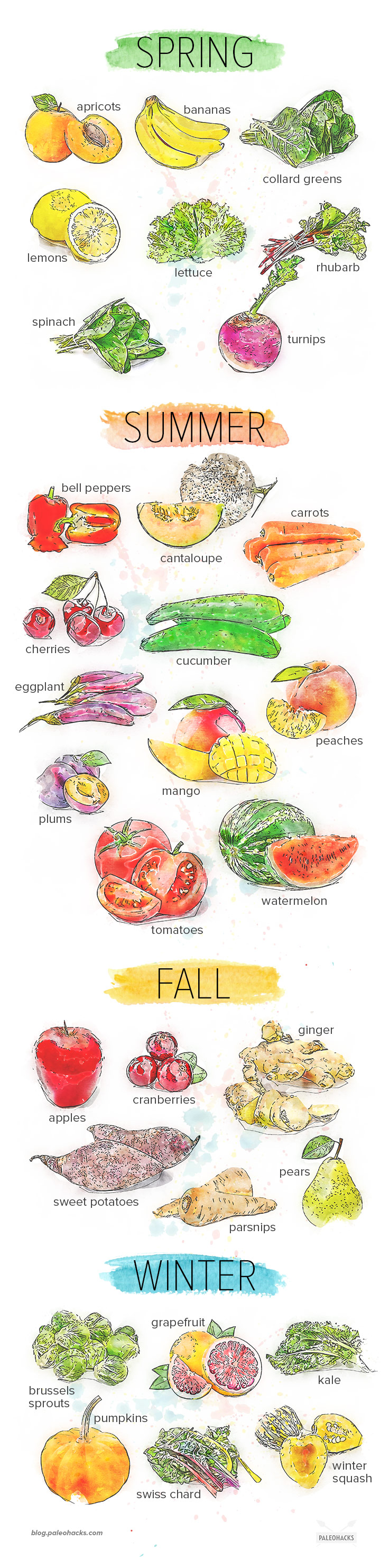 Let’s take a closer look at why we want to avoid too much mileage on our food, and how seasonal eating can benefit both your health and wallet.