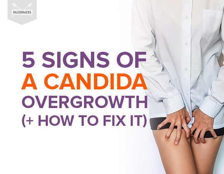 If you feel bloated, tired, and irritable and you aren’t sure why, you might be facing a Candida overgrowth. Here’s what you need to know about Candida.